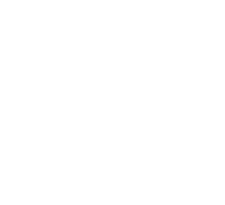 logo-color-soul